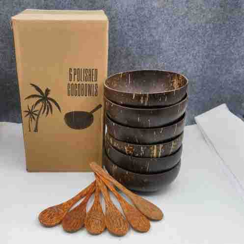 Natural Coconut Shell Bowl Set with Wooden Spoon