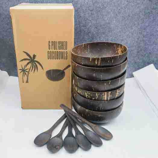 Natural Coconut Shell Bowl Set with Wooden Spoon