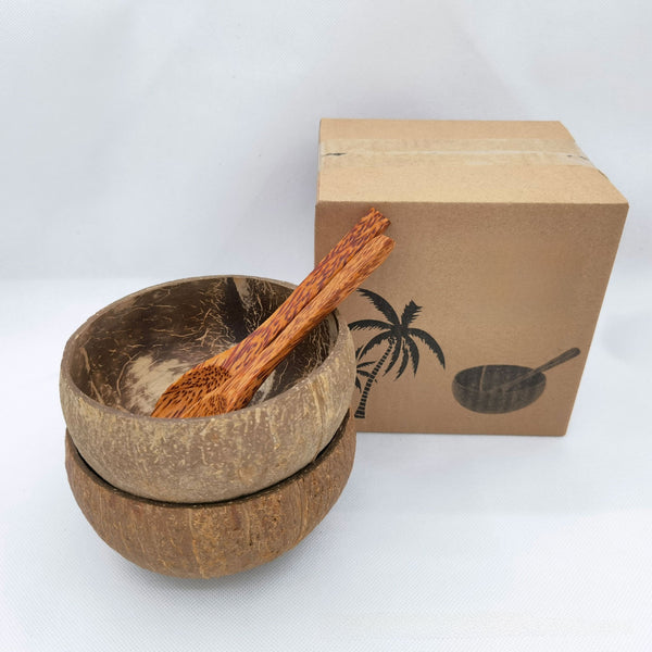 Natural Coconut Shell Bowl Set with Wooden Spoon